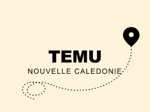 Livraison Temu en Nouvelle-Calédonie ? Enfin la solution !